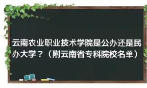 云南农业职业技术学院是公办还是民办大学（云南省专科院校名单）