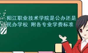 阳江职业技术学院是公办还是民办学校 附各专业学费标准！