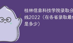 桂林信息科技学院2022年各省录取分数线一览表「最低分+最低位次+省控线」