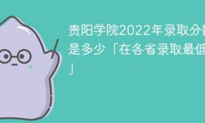 贵阳学院2022年最低录取分数线是多少（省内+外省）