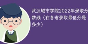 武汉城市学院2022年各省录取分数线一览表「最低分+最低位次+省控线」