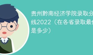 贵州黔南经济学院2022年各省录取分数线一览表（最低分+最低位次+省控线）