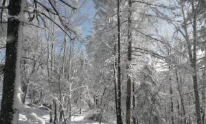 关于北国风光的雪后美景作文题目范文 精选优秀范文参考