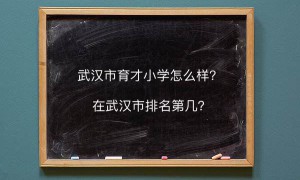 武汉市育才小学怎么样在武汉排名第几？难进吗对口的中学是哪一所