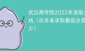 武汉商学院2022年各省录取分数线一览表「最低分+最低位次+省控线」