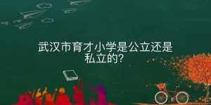 武汉市育才小学是公立还是私立的什么条件可以上？学费收取标准