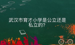 武汉市育才小学是公立还是私立的什么条件可以上？学费收取标准