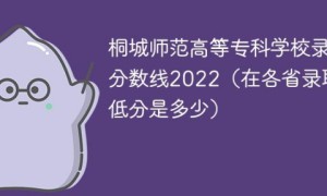 桐城师范高等专科学校2022年各省录取分数线一览表「最低分+最低位次+省控线」