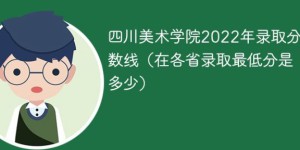四川美术学院2022年最低录取分数线是多少（本省+外省）