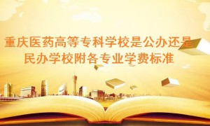 重庆医药高等专科学校是公办还是民办学校 附各专业学费标准！