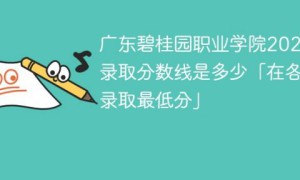 广东碧桂园职业学院2022年最低录取分数线是多少（本省+外省）