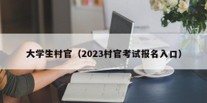 大学生村官（2023村官考试报名入口）