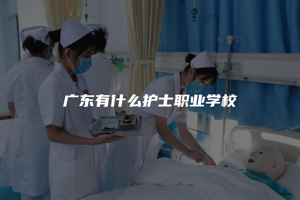 广东有什么护士职业学校